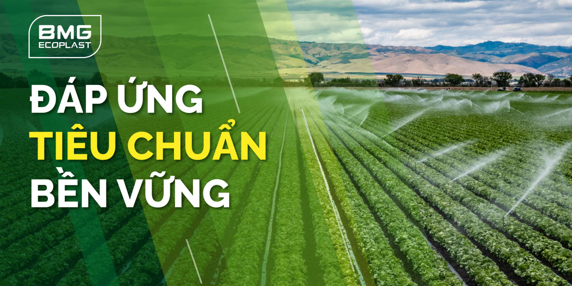 Đáp ứng tiêu chuẩn bền vững