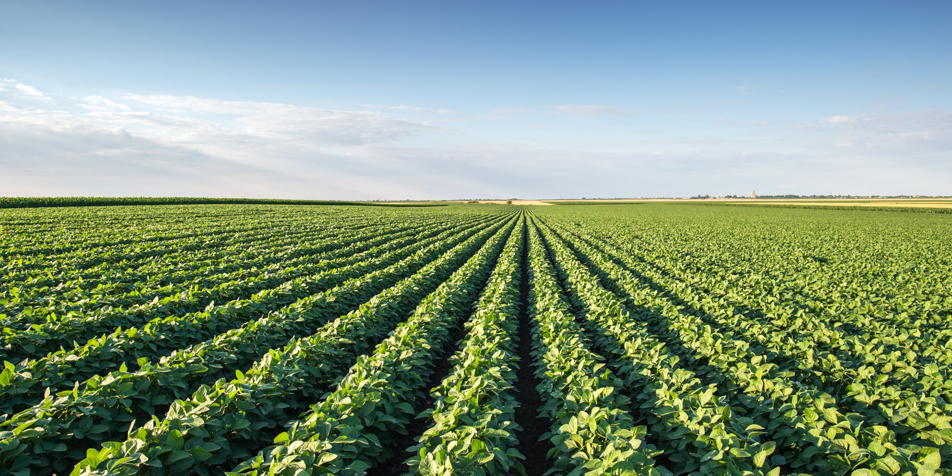 Yêu cầu báo giá